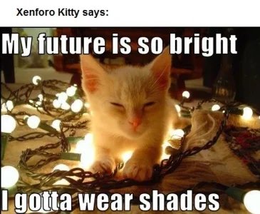 future.bright.Xenforo.Kitty.webp