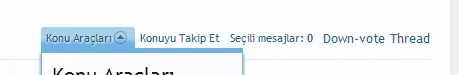 Capture.webp