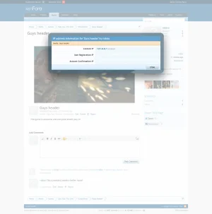 Media_IP.webp