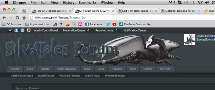 Screen Shot 2013-01-11 at 10.38.54 PM.webp