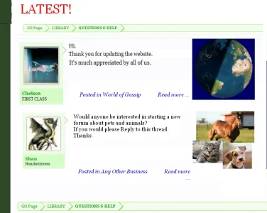post form design latest blog.webp