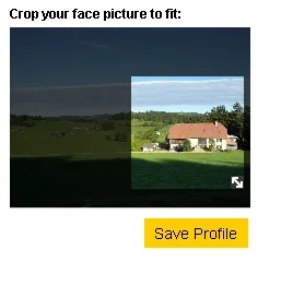 avacrop.webp
