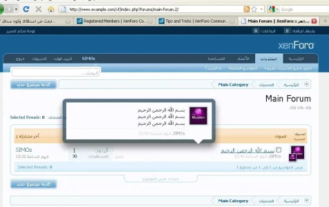 003.webp