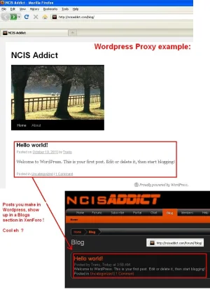 xenforo.wordpress.proxy.xfrocks.NCIS.addict.webp