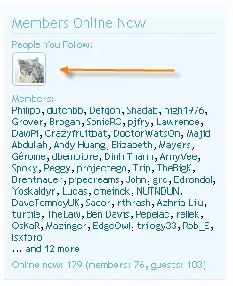 people you follow.webp