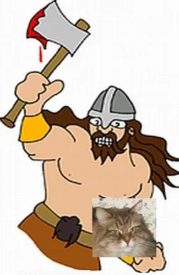 Viking+puss.webp