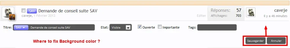 index.webp