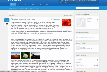 example1.webp