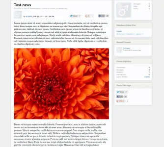 example2.webp