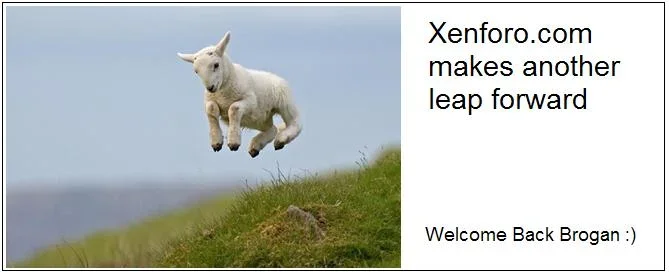 leap.forward.brogan.webp