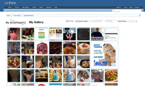 attachment.manager.as.lite.gallery.webp