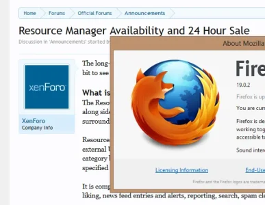 firefox_bug.webp