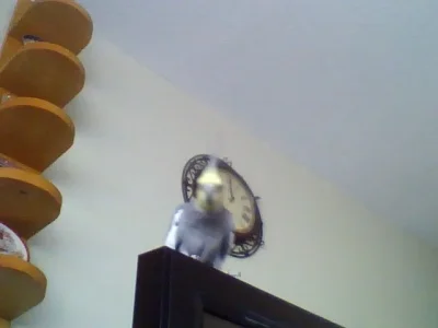 picture003.webp