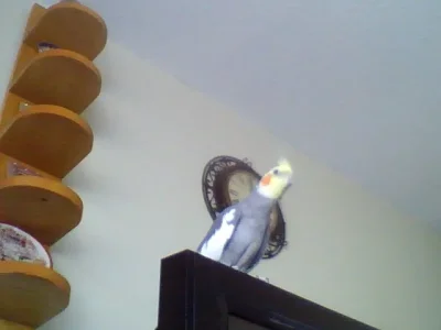 picture004.webp