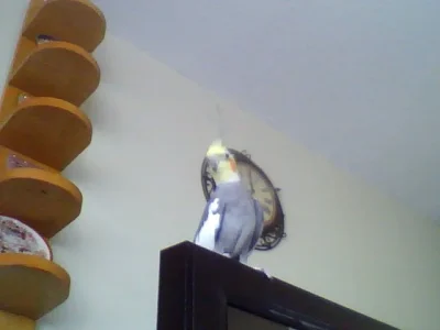 picture006.webp