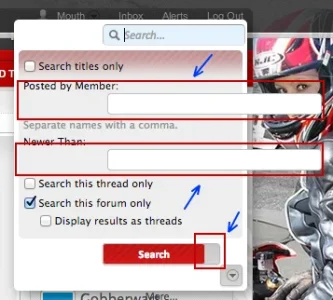 SearchStyle.webp