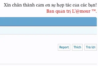 Screen shot 2013-04-01 at 11.37.42 PM.webp