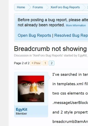 Capture.webp