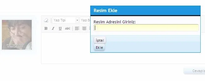 ssssssssssıntısı.webp