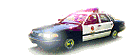 {88196873-B77C-44B4-9B11-8EBA1E3DB152}.GIF