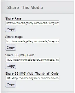 share.webp
