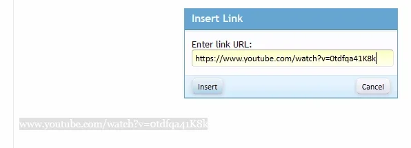 higlighted and paste linkl.webp