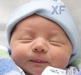 BabyXF.webp