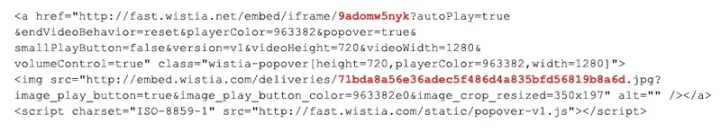 wistia-code.webp