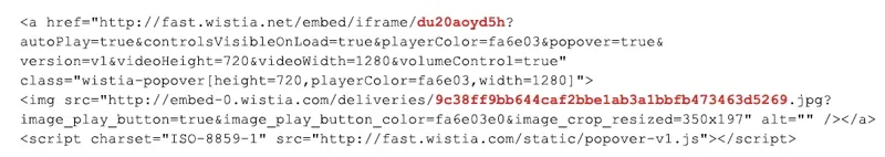 wistiapop-code.webp