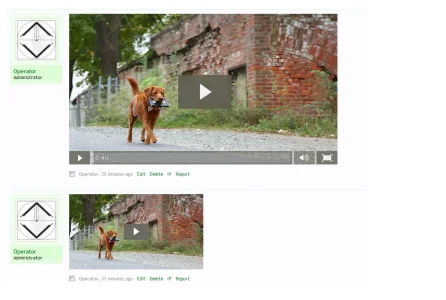 inline.webp