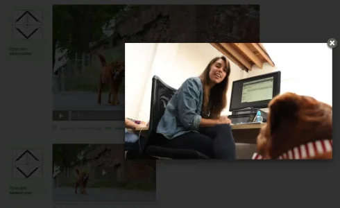 overlay.webp