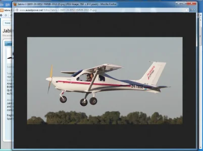 5.webp