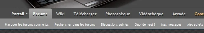 canvas.webp