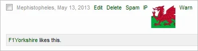 report.webp