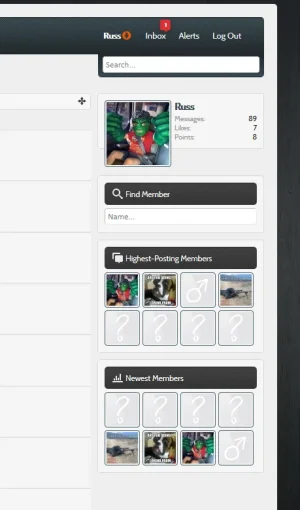 Splashpreview-3.webp