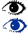 eyes.webp