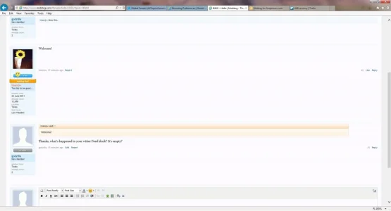 stf.webp