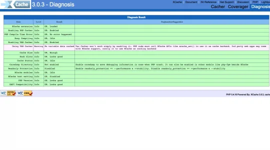 XCache 3.0.3   Diagnosis.webp