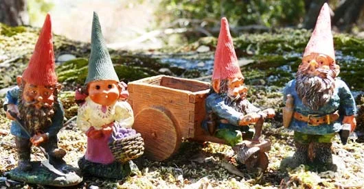 miniature-working-garden-gnomes.webp