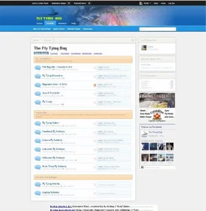 the bug.webp