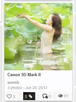 sonnb-tags.webp