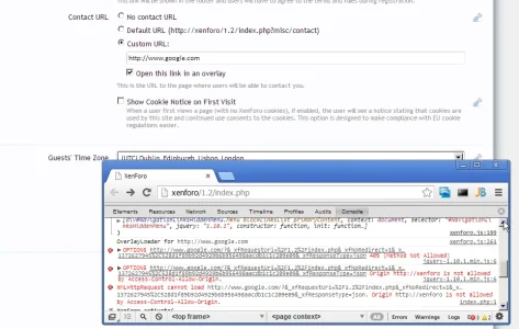 bug1.webp