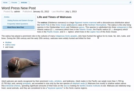 article_w_pic.webp