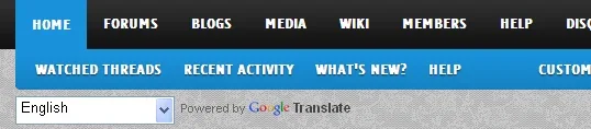 translator.webp