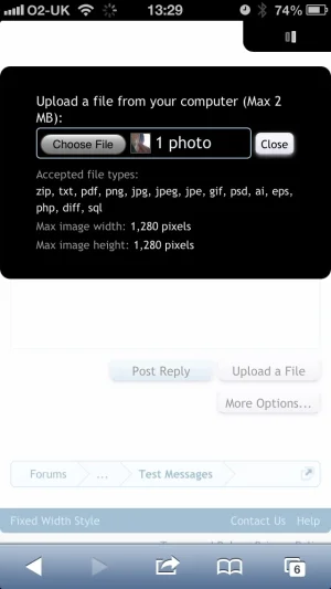 image.webp