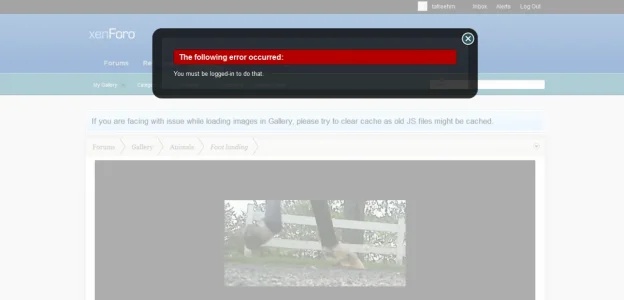 Untitled.webp