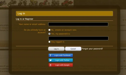 example1.webp