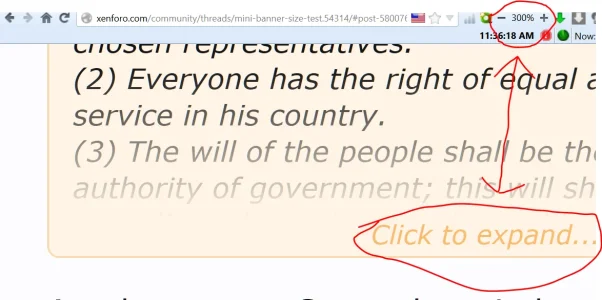Capture.webp