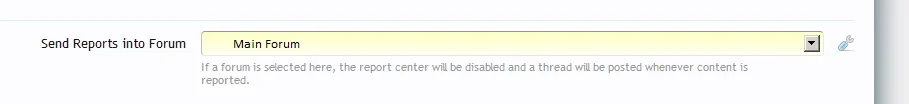 report.webp