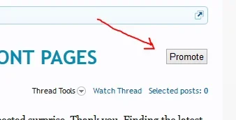 XF to WP Promote Button.webp